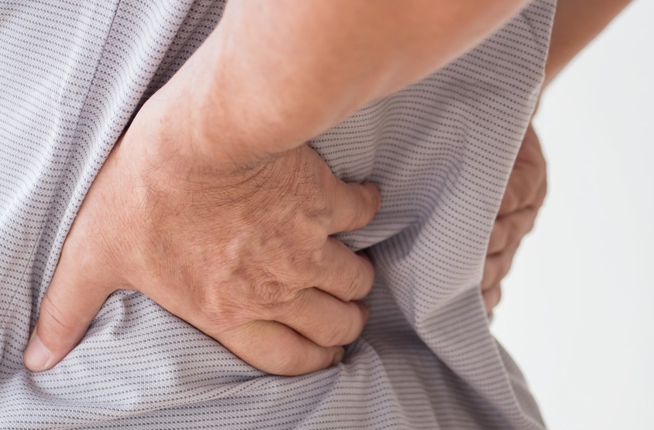 桑葚|往开水里泡几粒，让你恢复肾动力，养出强壮有力的肾