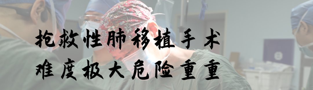 呼吸机|没有机会了，放弃吧！你父亲肺里面像丝瓜壳，甚至活不过下一秒