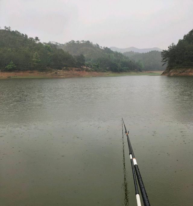 江西钓鱼人水库钓获罕见老鳜鱼，钓鱼人：它吃餐条撞上来了