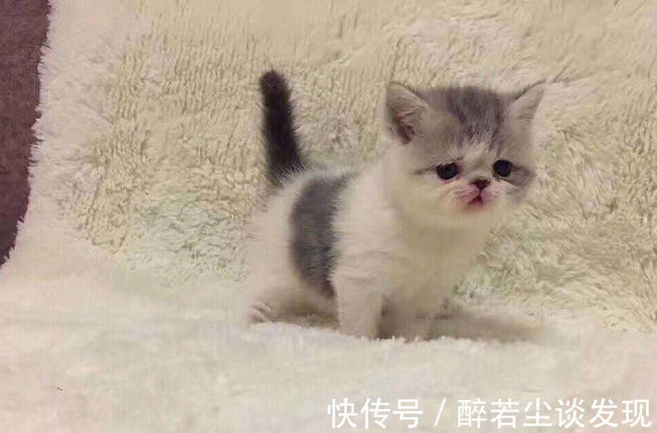 |爆笑段子：老师，她要逃课，我帮你拽着的！