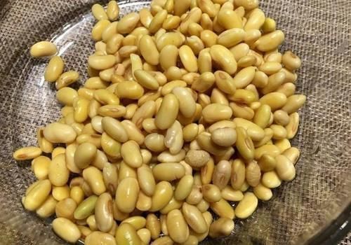 香味儿|这菜女人要多吃,天然黄体酮遇上胶原蛋白,美颜抗衰老,热量超低