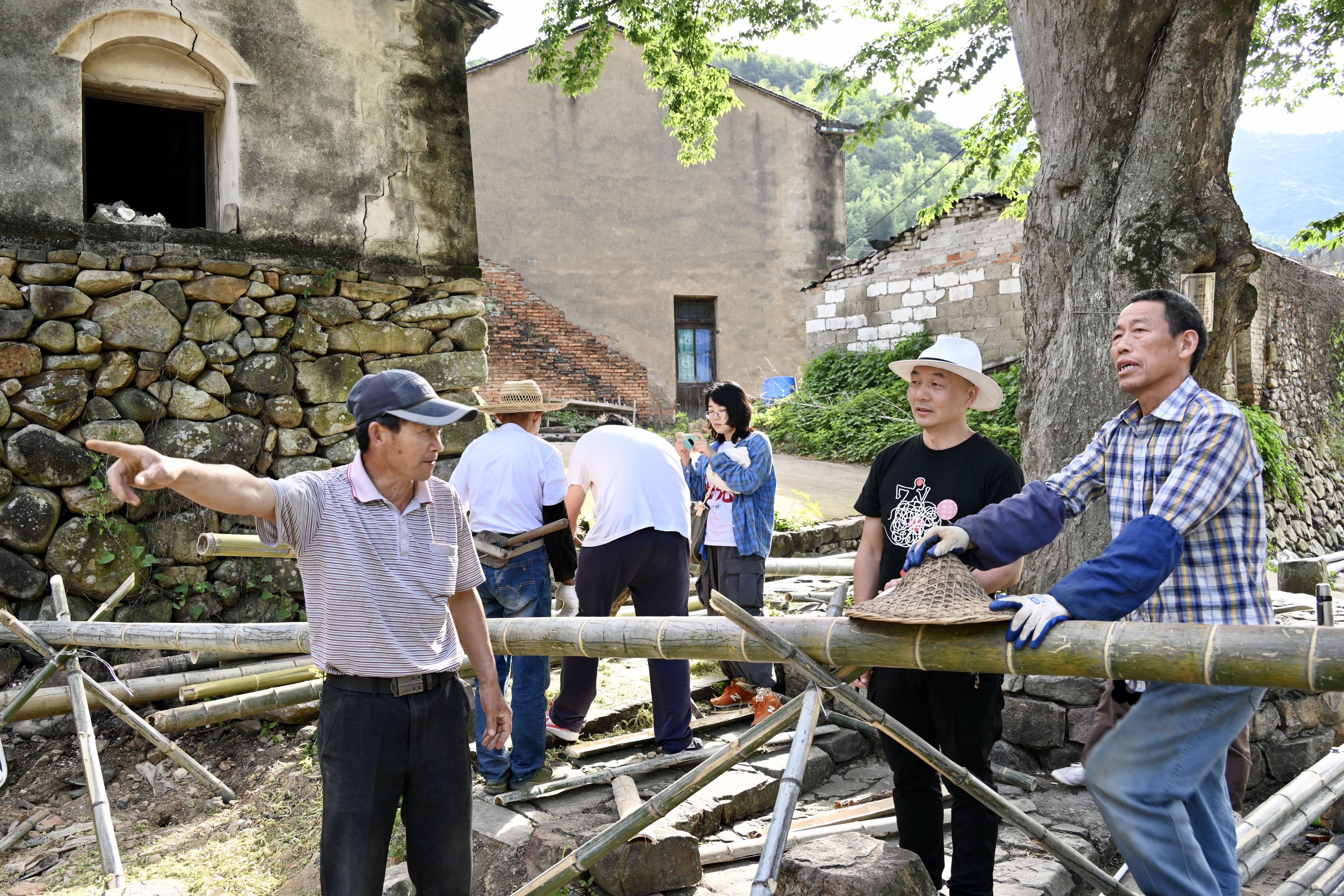 侠客帽|“侠客帽”到底放哪好？宁海500年大糙树下的这场“头脑风暴”太吸引人了！