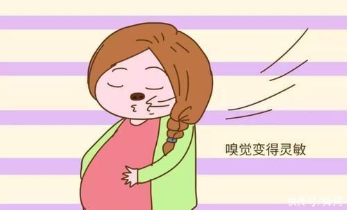 孕吐|为什么有的孕妇孕期孕吐的很严重，但有的孕妈整个孕期都没有任何反应呢?