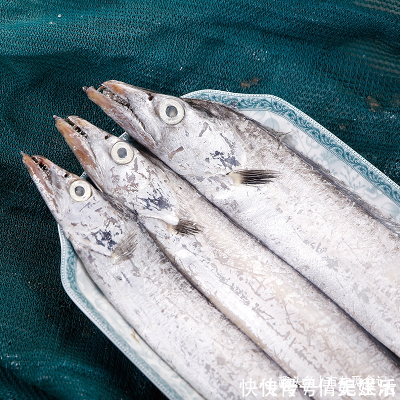 吕四|买带鱼，大带鱼好吃还是小带鱼好吃价格差几倍，区别大了