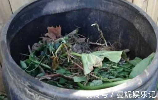 养花技巧:醋、橘子皮、小苏打用来养花,好处多!