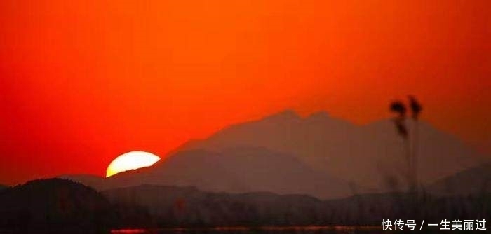 古风文学,青山外,寄飞鸿