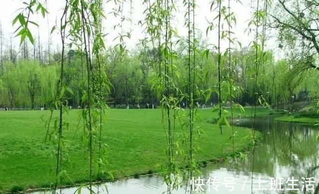 微微一笑!但行好事,莫问前程~经历过四朝十帝的冯道,和他的两首名诗欣赏