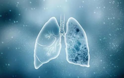 结节|患有肺结节的人,能吃豆制品吗?提醒:不妨多吃2物,或有所改善