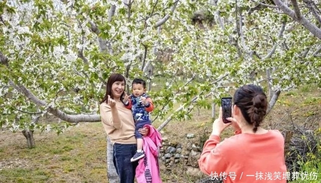 甜樱桃花开十里，云朵上花季来啦！|汶川100景 | a5313