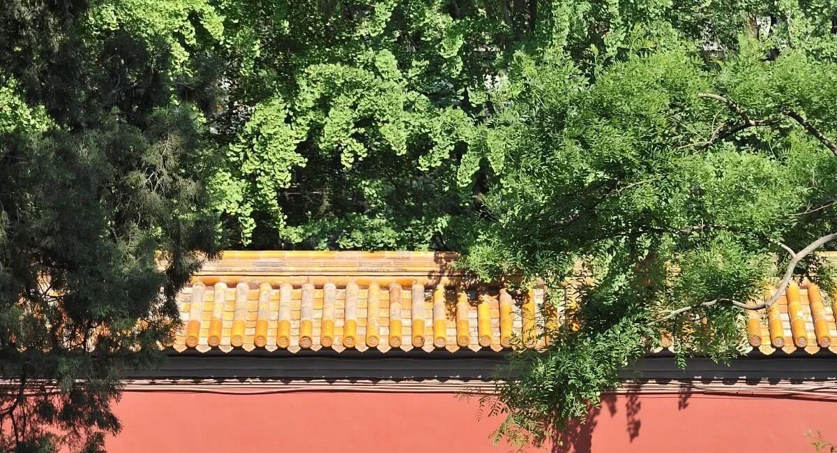 李自成|崇祯若能慢慢解决这三个问题,李自成和后金很难动摇大明江山