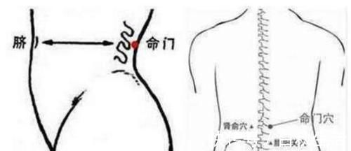 五味子|肾虚血瘀是老年人生病的根源所在!国医大师教你3招,补肾又活血