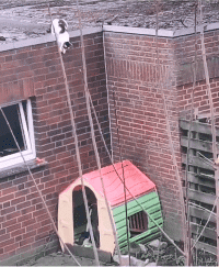 |搞笑GIF段子:不是说女追男隔层纸吗?这也太好追了吧,哈哈哈哈