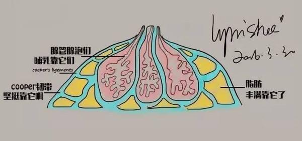 症状|得了乳腺癌，一般哪里会疼医生边辟谣边告诉您如何预防乳腺癌