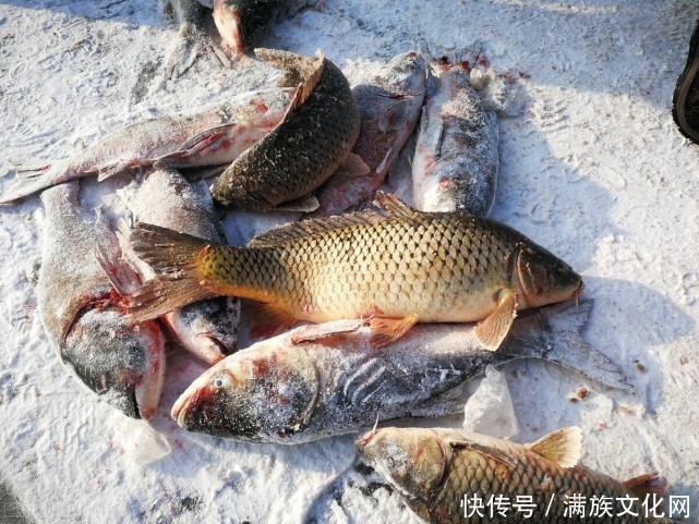 蹊跷|“冰上捕鱼单线拽”——关东这一怪怪得蹊跷 单线究竟拽什么