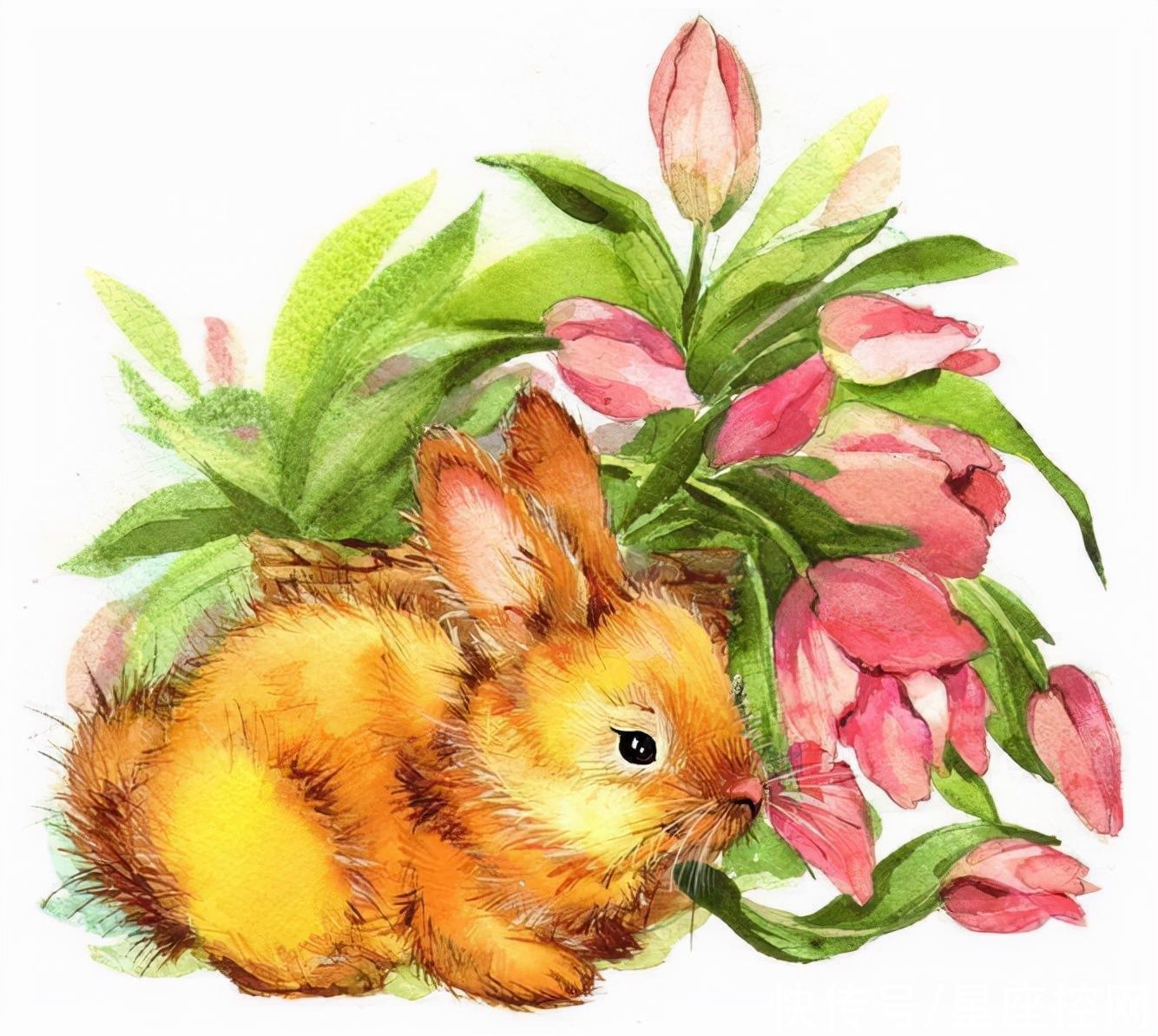 人性格|下半年不再瞎操心,前有贵人,后有明路,赚钱效率大增的生肖