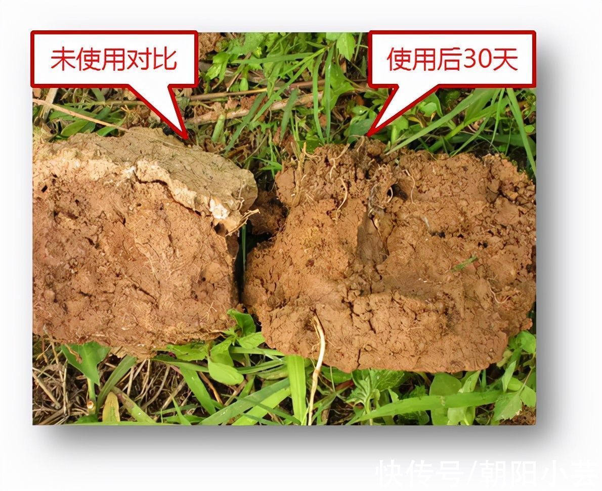 夢想改造家132萬紅磚房開始返堿！專家：只影響外觀，不影響質量