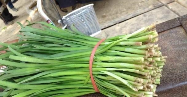 根部|吃不完的韭菜,放冰箱就错了,菜农教我土方法,放10天照样新鲜