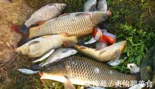 野钓浮漂的选用和调漂原则，能否连竿上鱼，跟调漂关系很大！