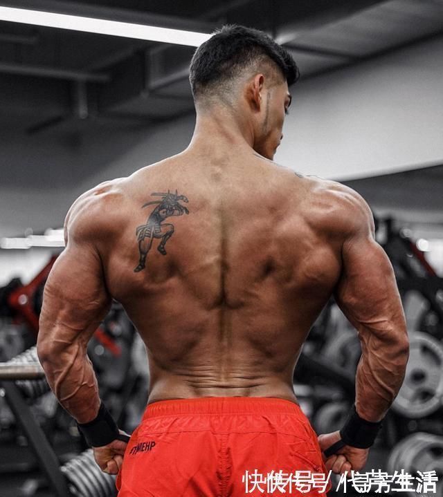 单组|天天健身就能快速增肌避免2个错误,瘦人也能摆脱竹竿身材