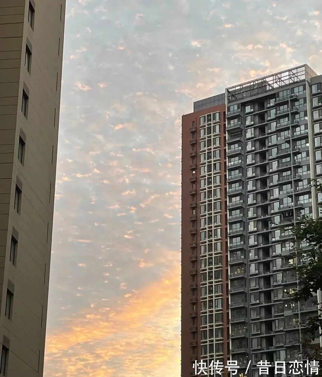 诗句|当年背到头秃的古诗,瞬间读懂了……