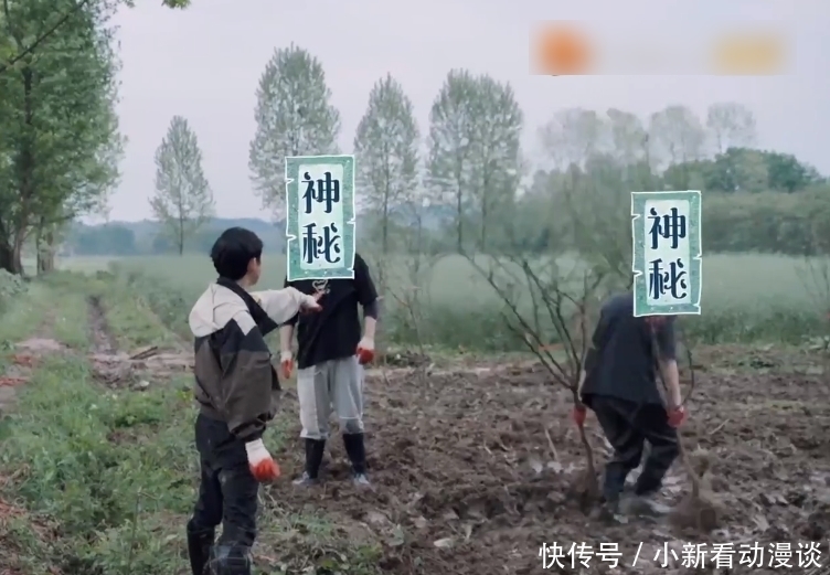 节目 《向往5》预告,蘑菇屋迎来两位神秘嘉宾,节目组挡脸挡了个寂寞