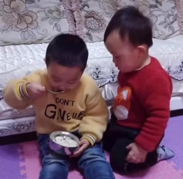 一箭双雕|哥哥独占饭碗,弟弟高情商讨要食物,宝妈“一箭双雕”方法太赞
