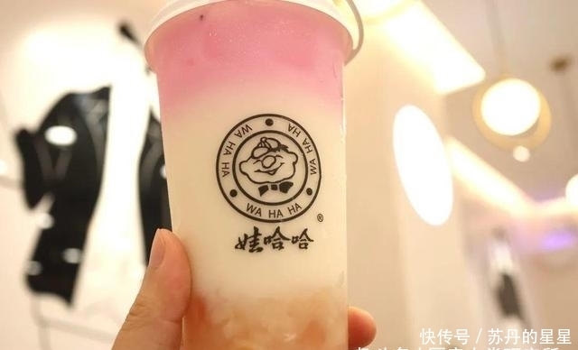 奶茶|我们笑着去了娃哈哈奶茶店，最后哭着回来了…