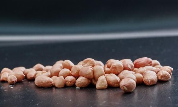 脂肪含量|早晨坚持空腹吃花生，好处很受用，为什么要空腹吃呢？