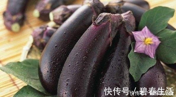 茄子|常听老人们说：“立秋后的茄子不要吃”开始不懂，看完以后明白了