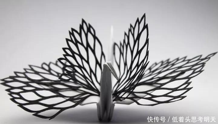 重样|每天折一只千纸鹤,他坚持了1000天不重样,女友被感动到梨花带雨
