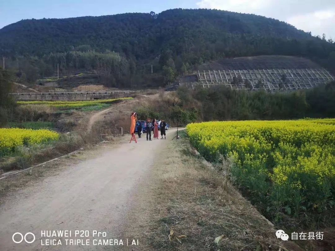 遍地金黄，山口村的油菜花开了，美到犯规！