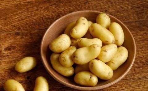 几种蔬菜发芽后不但没“毒”,营养价值还更高,别再浪费了!