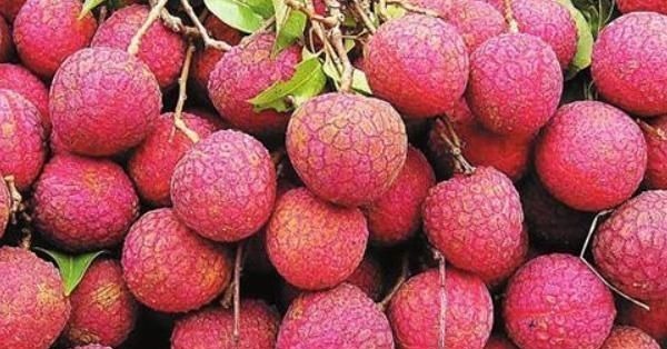 柿子|医生从不吃的4种水果,再馋也要忍住,越吃”湿气“越重