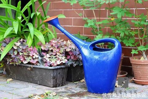 冰糖水|原来白糖这么厉害,可惜知道的人太少...看完跪了,赶紧收藏!