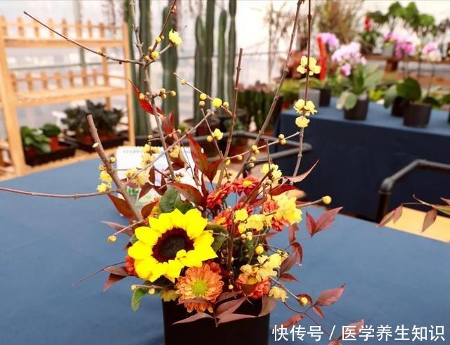 两种“花枝”很漂亮,花友很喜欢,一个水瓶就能养,花香四溢的!