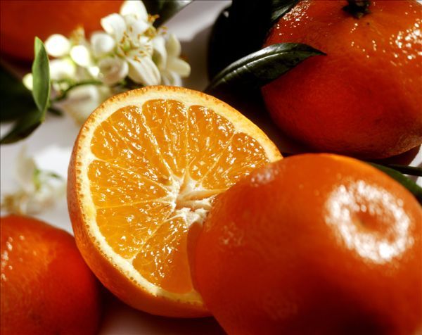 吃什么食物对肝有好处