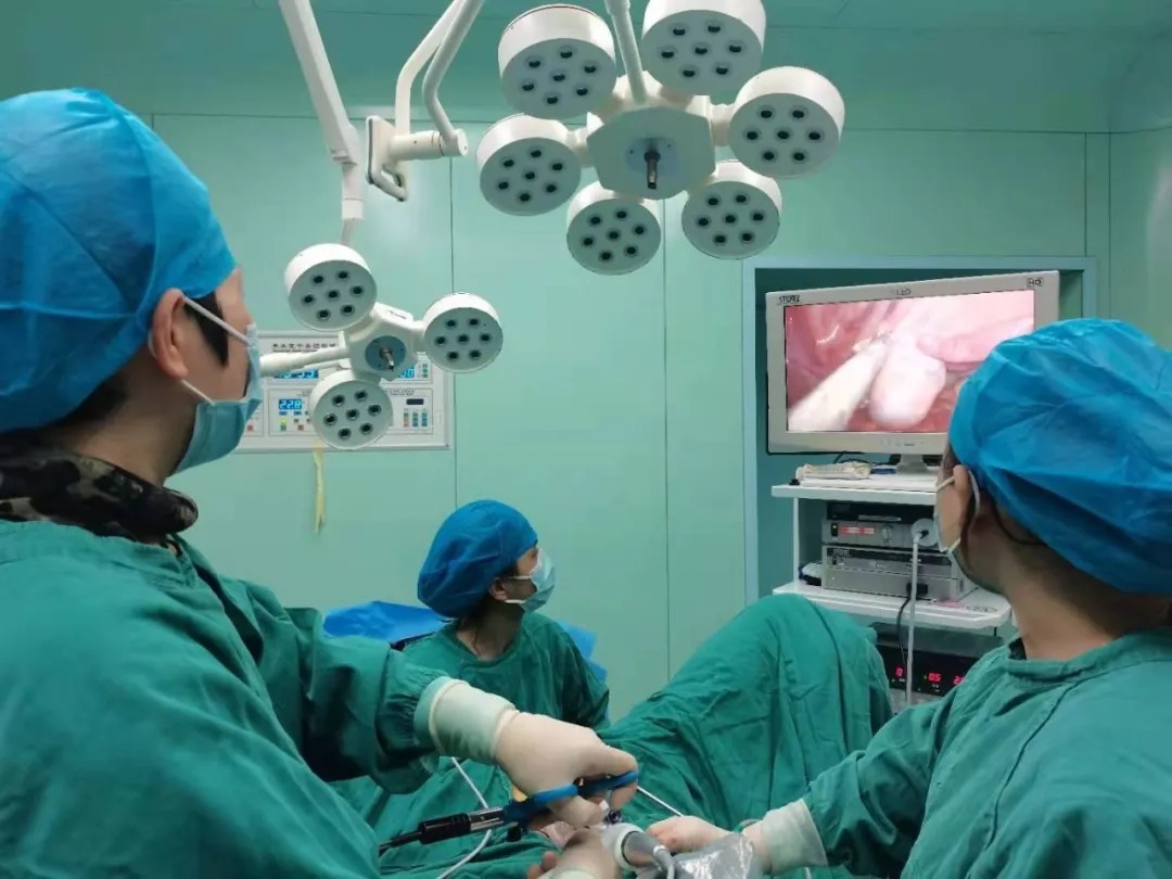 上文中|肚脐眼里连的根本不是肠子!为什么不能乱抠肚脐眼?终于搞明白了