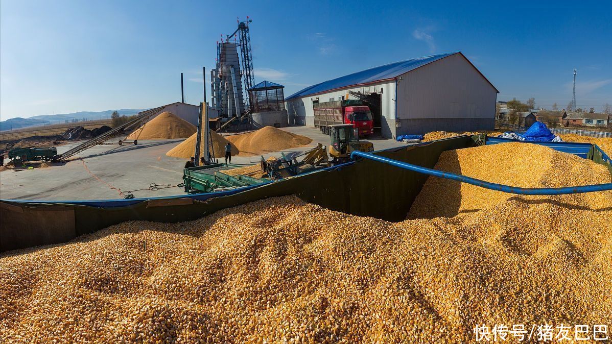 粮食批发市场开业引入期货交易机制的意义是什么