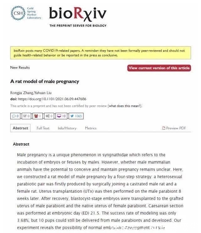发育|公鼠成功怀孕生崽,男人生孩子还远吗?