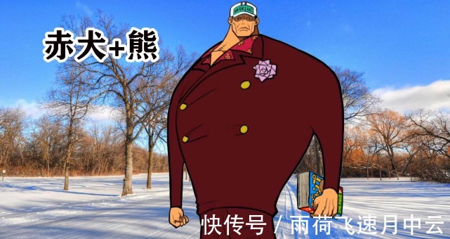 托雷波尔|海贼王当角色换上赤犬的脸,娜美有点伤眼睛,乔巴的形象搞笑