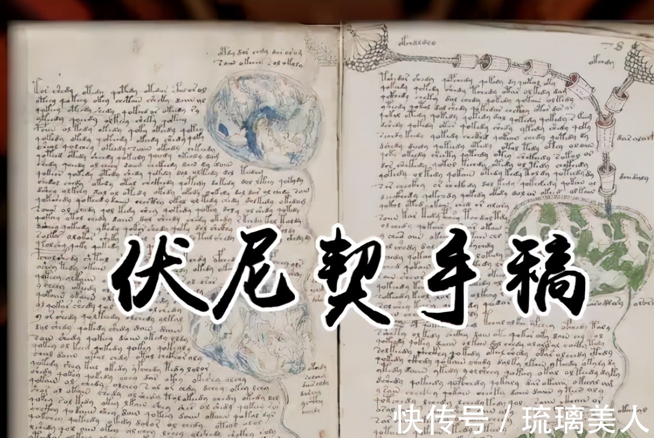 天书!世界奇书《伏尼契手稿》,神秘面纱终于被揭开,遗落在人间的天书