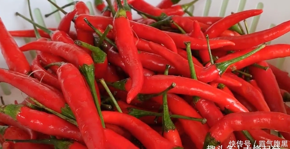 简单|辣椒酱,做法简单,香辣又下饭,越辣越想吃,配米饭或者馒头特香