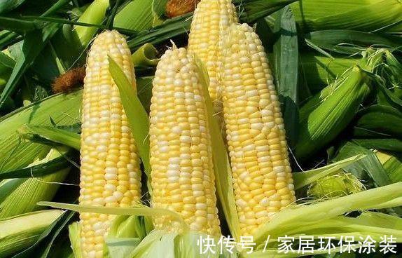 氨基酸|癌细胞“最怕”的几种食物,若能多吃点,助你抗癌更长寿