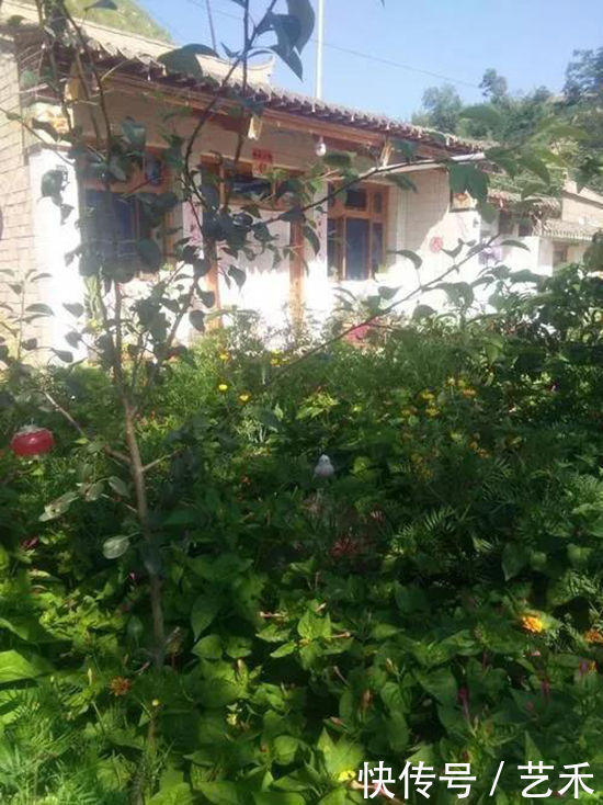 春日:邂逅碧玉关,徜徉杏花海