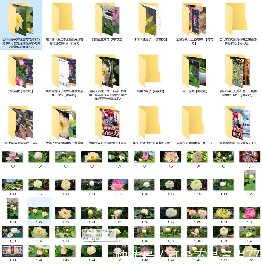 固乔电商图片助手|网页(贴吧)图片怎么批量保存