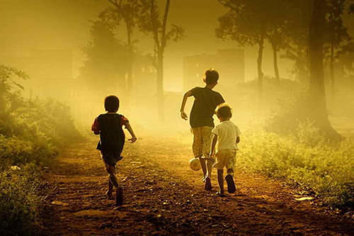 领域|研究40年后,全球最具影响力的性别领域专家,为男孩们正名了