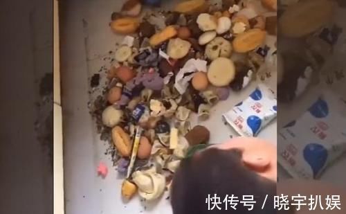 妈妈|妈妈发现了一个不爱吃早饭的“熊孩子”,真想不到,藏得也太深了