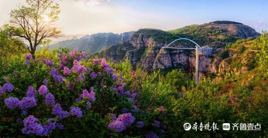 旅游|倒计时三天！刷脸秒入园！“齐惠游”淄博旅游年卡优势真不少