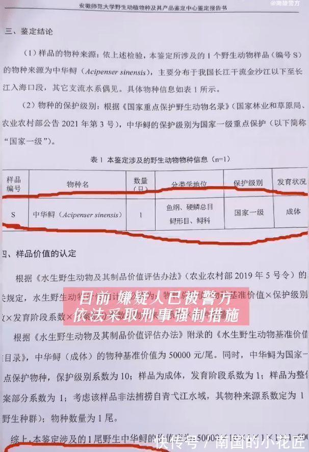 菜市场|长的丑判得久长的怪判得快,牢底坐穿鱼已过时,倾家荡产鱼出世