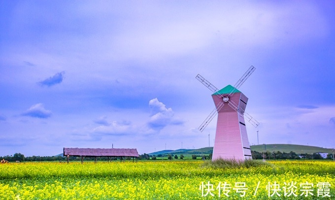 草甸|张家口沽源有一处五花草甸，盛夏金莲花开，充满了温馨浪漫